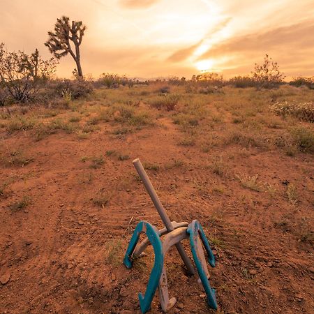 فيلا Coyote Tracks - A Modern Desert Experience جوشوا تري المظهر الخارجي الصورة